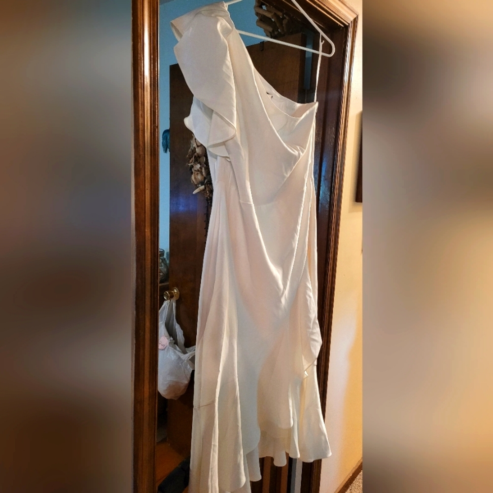 NWT - White House Black Market Size 18 Dress